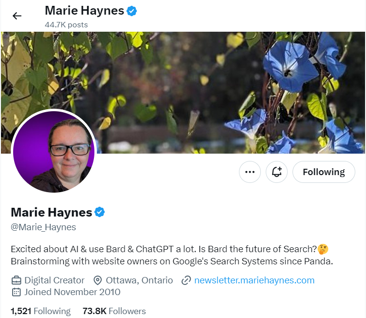 Marie Haynes - marketingoceans